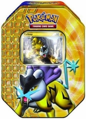 Pokemon 2010 Holiday Tin: Raikou