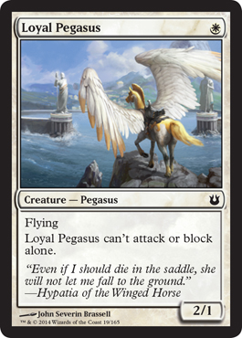 Loyal Pegasus