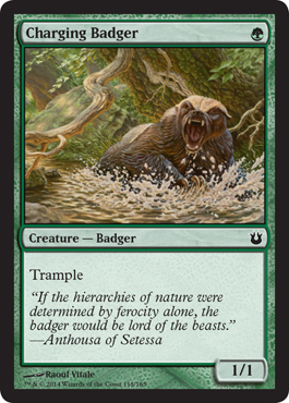 Charging Badger - Foil