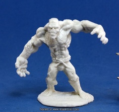 Flesh Golem 77169