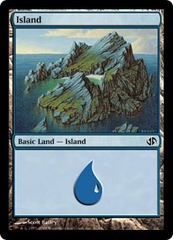 Island (31)