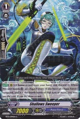 Shallows Sweeper - BT13/094EN - C