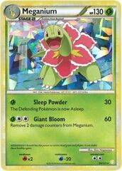 Meganium - 26/123 - Cracked Ice Holo (HGSS Base Set Symbol)