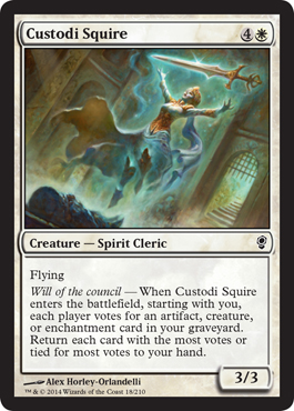 Custodi Squire