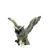 Owl Reign of Winter