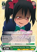 Plotting Secretly, Nico - LL/W24-E041 - C