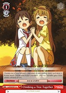 Climbing a Tree Together - LL/W24-E071 - U