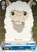 Alpaca - LL/W24-E088 - C