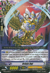 Ordain Owl - BT14/074EN - C