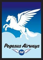 Pegasus Air Card Sleeves