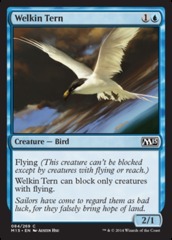 Welkin Tern - Foil