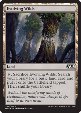 Evolving Wilds - Foil