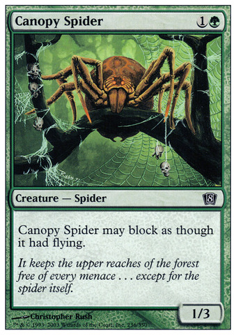 Canopy Spider