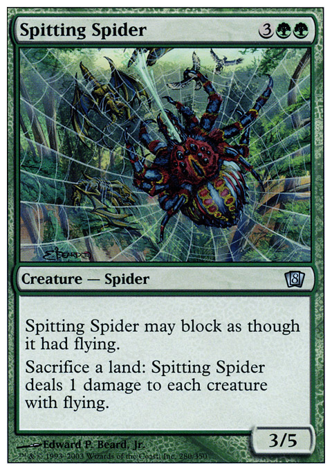 Spitting Spider