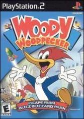 Woody Woodpecker: Escape from Buzz Buzzard Park