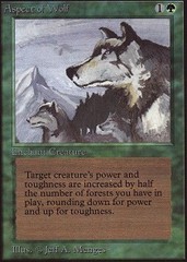 Aspect of Wolf