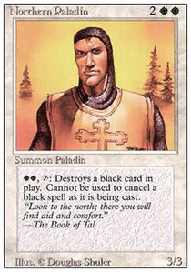 Northern Paladin - (3rd) Revised