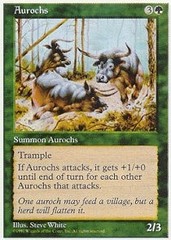 Aurochs