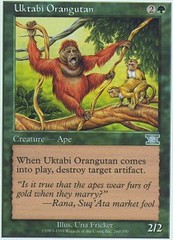 Uktabi Orangutan