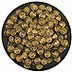 Hoard Scarab Larva Swarm