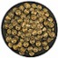 Hoard Scarab Larva Swarm