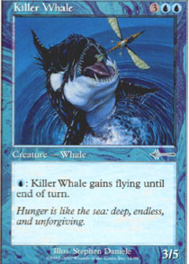 Killer Whale