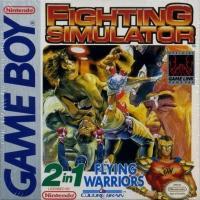 Fighting Simulator / Flying Warriors: 2 in 1