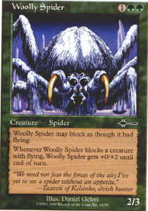 Woolly Spider