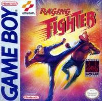 Raging Fighter