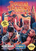 Double Dragon 3: The Arcade Game