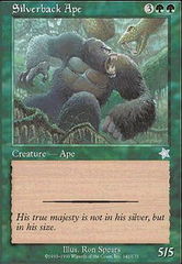 Silverback Ape