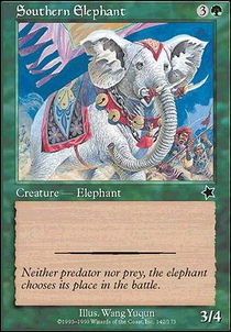 Southern Elephant