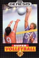 Super Volleyball