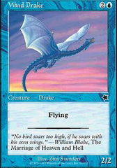 Wind Drake