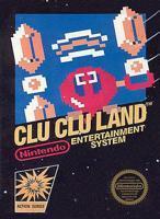 Clu Clu Land (Nintendo) - NES