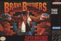 Brawl Brothers