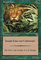 Jungle Lion