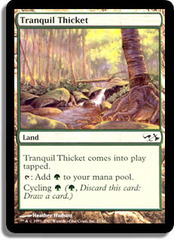 Tranquil Thicket