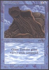 Giant Tortoise (Dark)