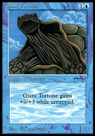 Giant Tortoise (Light)