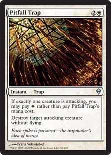 Pitfall Trap