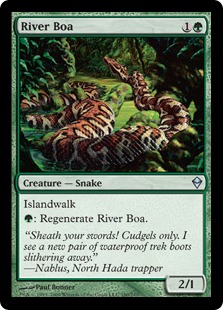 River Boa