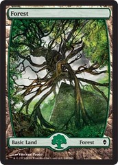 Forest (249) - Full Art