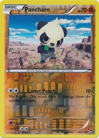 Pancham - 60/111 - Common - Reverse Holo