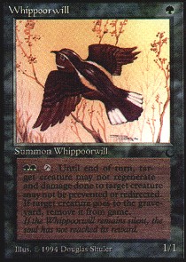 Whippoorwill