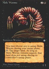 Mole Worms