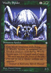 Woolly Spider