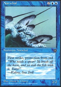 Narwhal