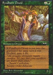 Fyndhorn Druid