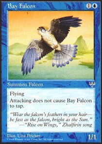 Bay Falcon